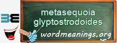 WordMeaning blackboard for metasequoia glyptostrodoides